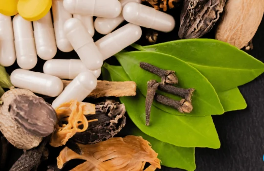 Medicamento fitoterápico